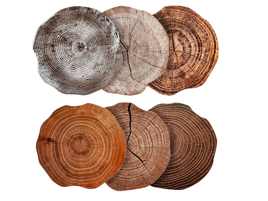 CONF. 6 TOVAGLIETTE PP/SUGH TONDE ALBERO CM 38